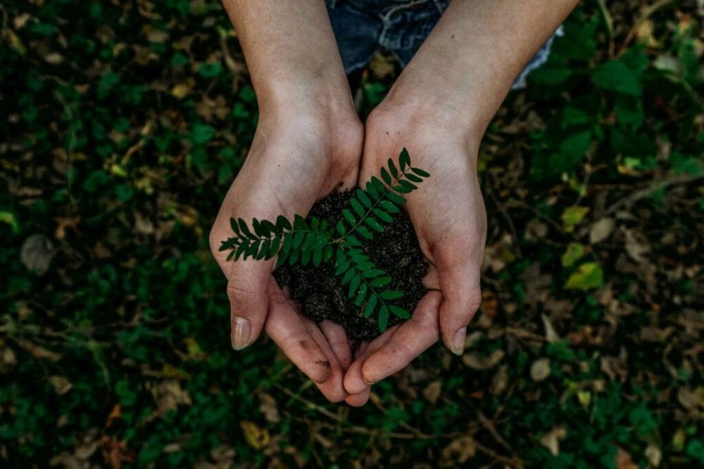 A pair of hands holding soil from the earth A pair of hands holding soil from the earth