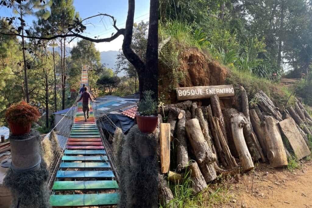 Colorful hanging bridge in natural jungle setting at Barefoot Backpackers.