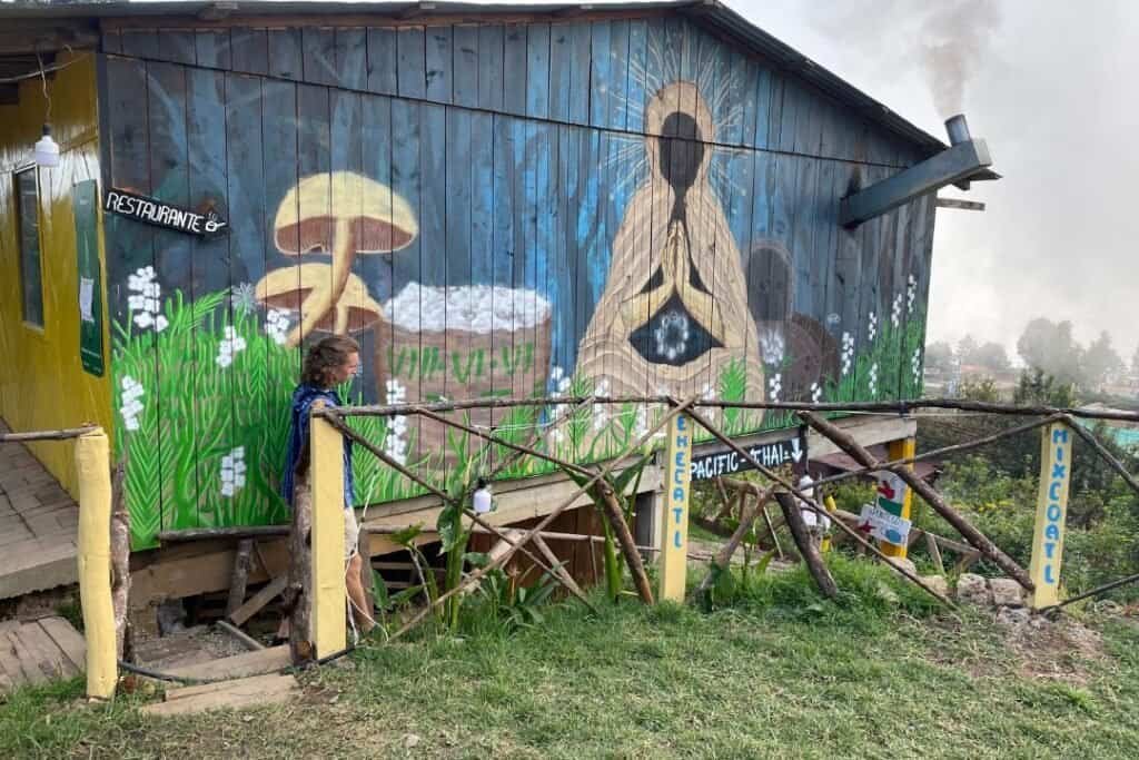 Colorful mural on a rustic wooden building featuring mushrooms, a meditative figure, and lush greenery, highlighting the eco-friendly and cultural vibe of Barefoot Backpackers hostel.