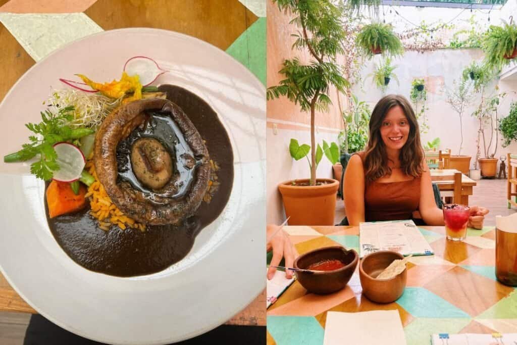Savory Mexican dish with black mole sauce, rice, and fresh vegetables on a white plate. Perfect for travelers seeking authentic local cuisine at Barefoot Backpackers.