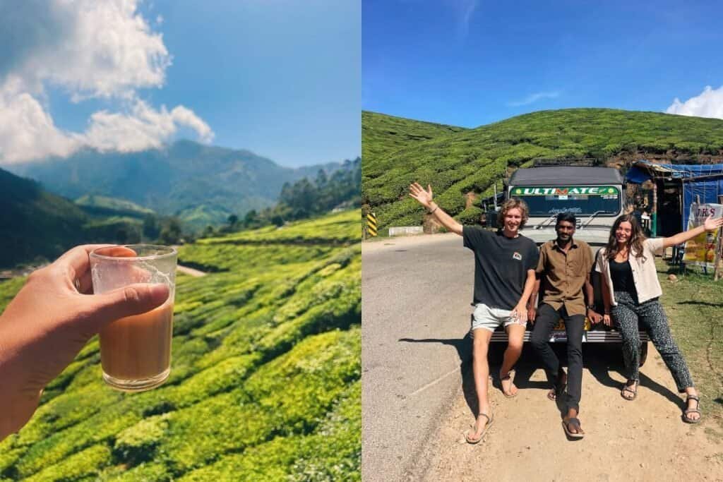 Munnar (2) Charming tea plantation with lush green hills and bright blue sky in the background, showcasing sustainable travel in a scenic landscape.