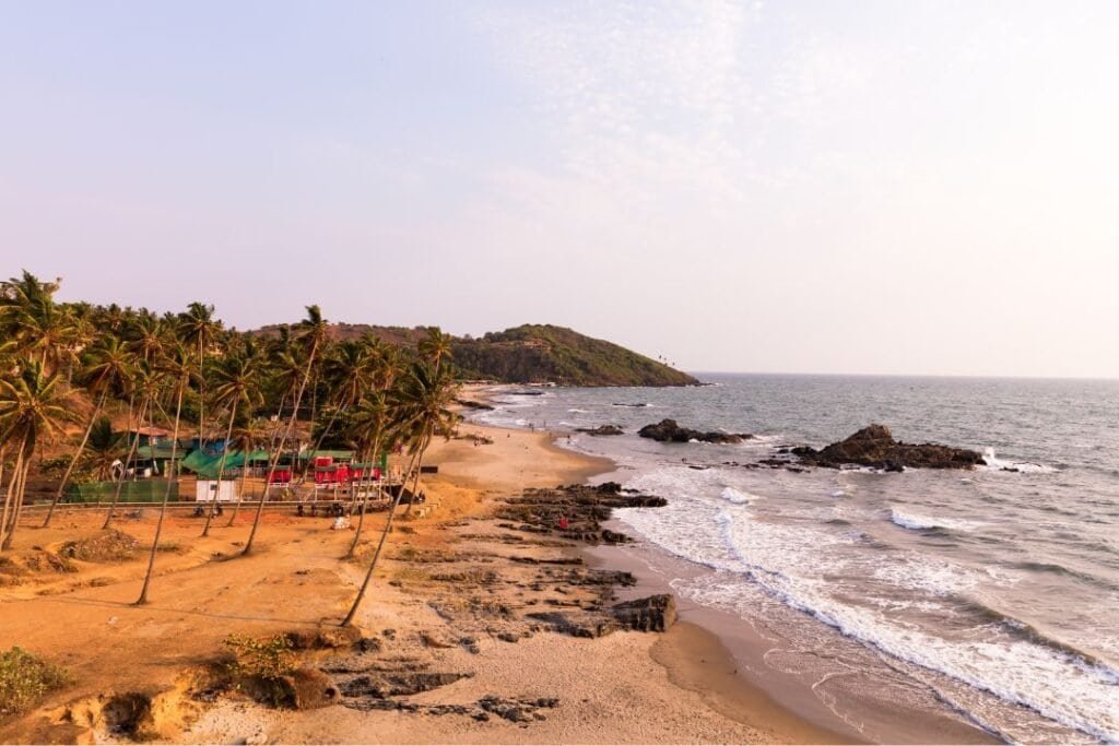 Vagator Golden sands and palm trees on a serene tropical beach at sunset.