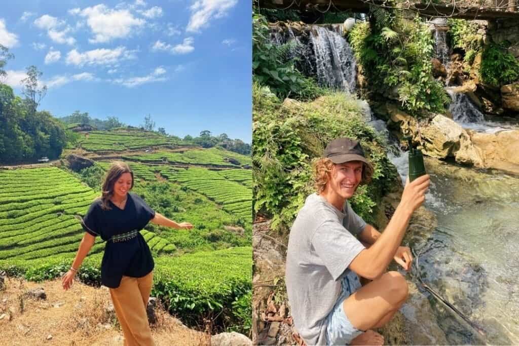 Lush green terraced tea fields under a bright blue sky, perfect for sustainable travel adventures.