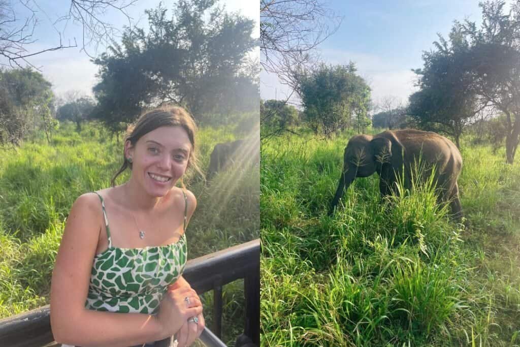 Sri Lanka Elephant Safari