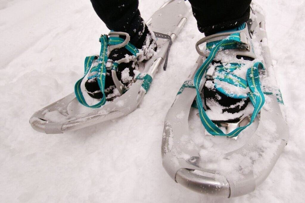 snowshoes