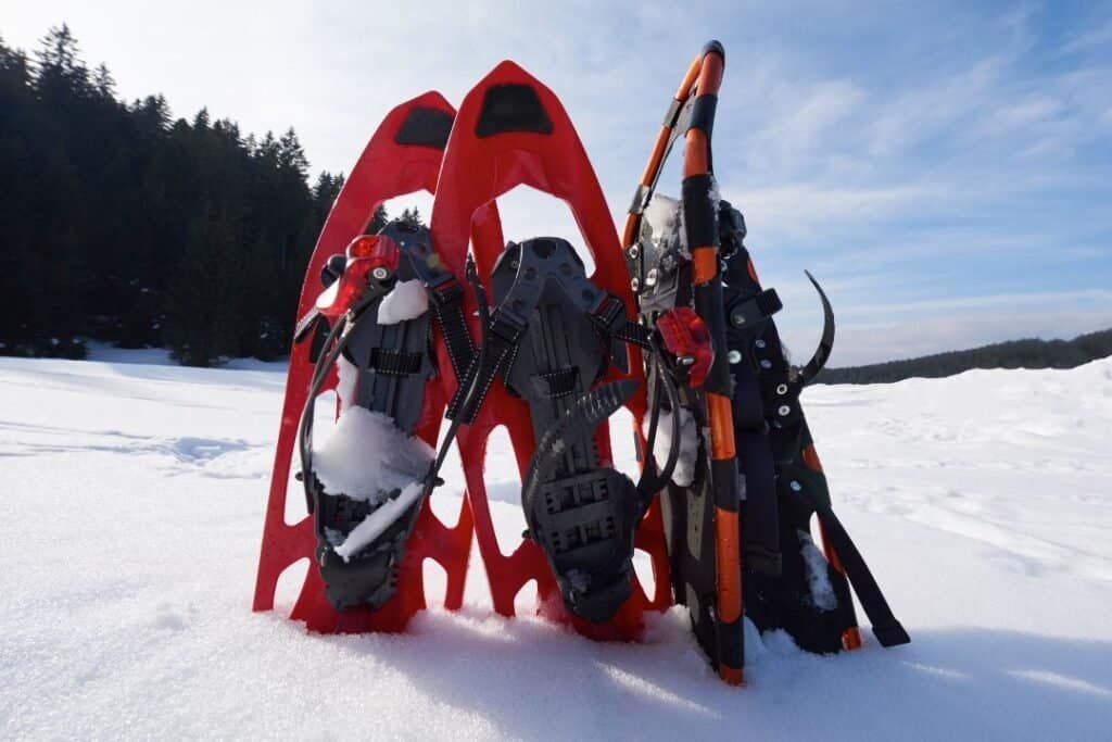 snowshoes 