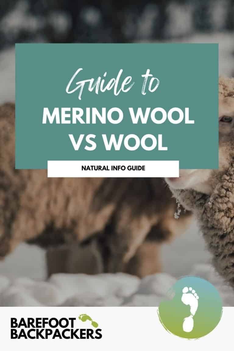 Pinterest image for Merino Wool vs Wool: Which Natural Fiber for Backpackers?