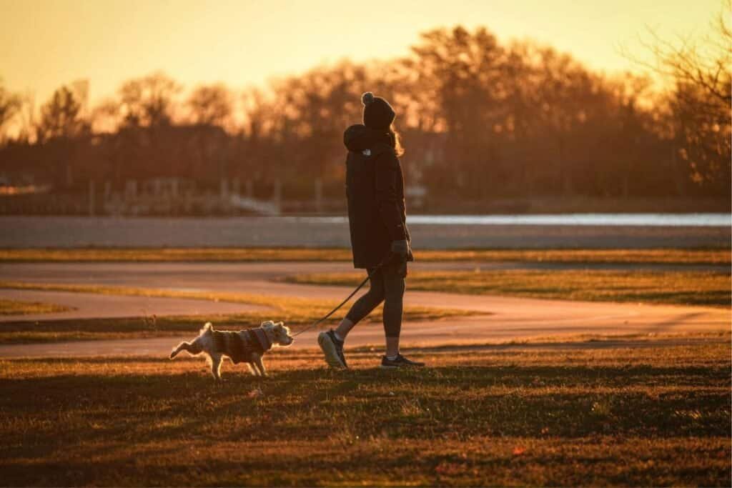 A person in outdoor activewear walking their small dog along a trail at sunset, highlighting mindful outdoor recreation and sustainable pet-friendly travel.