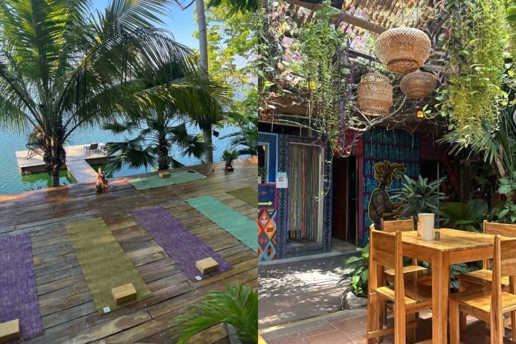 Relaxing outdoor yoga space with lush tropical plants and ocean view in a serene, eco-friendly setting.